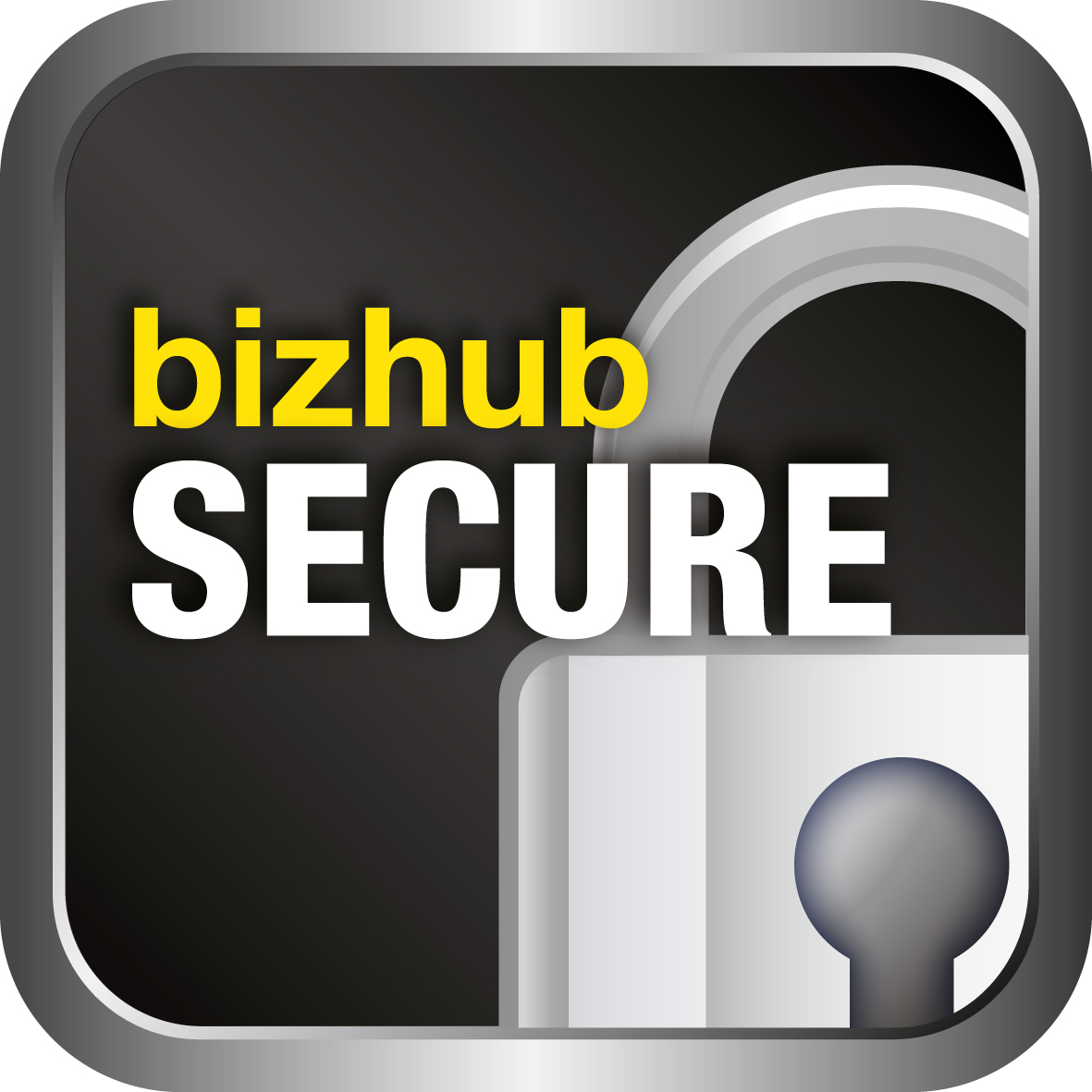 bizhub Secure Basic
