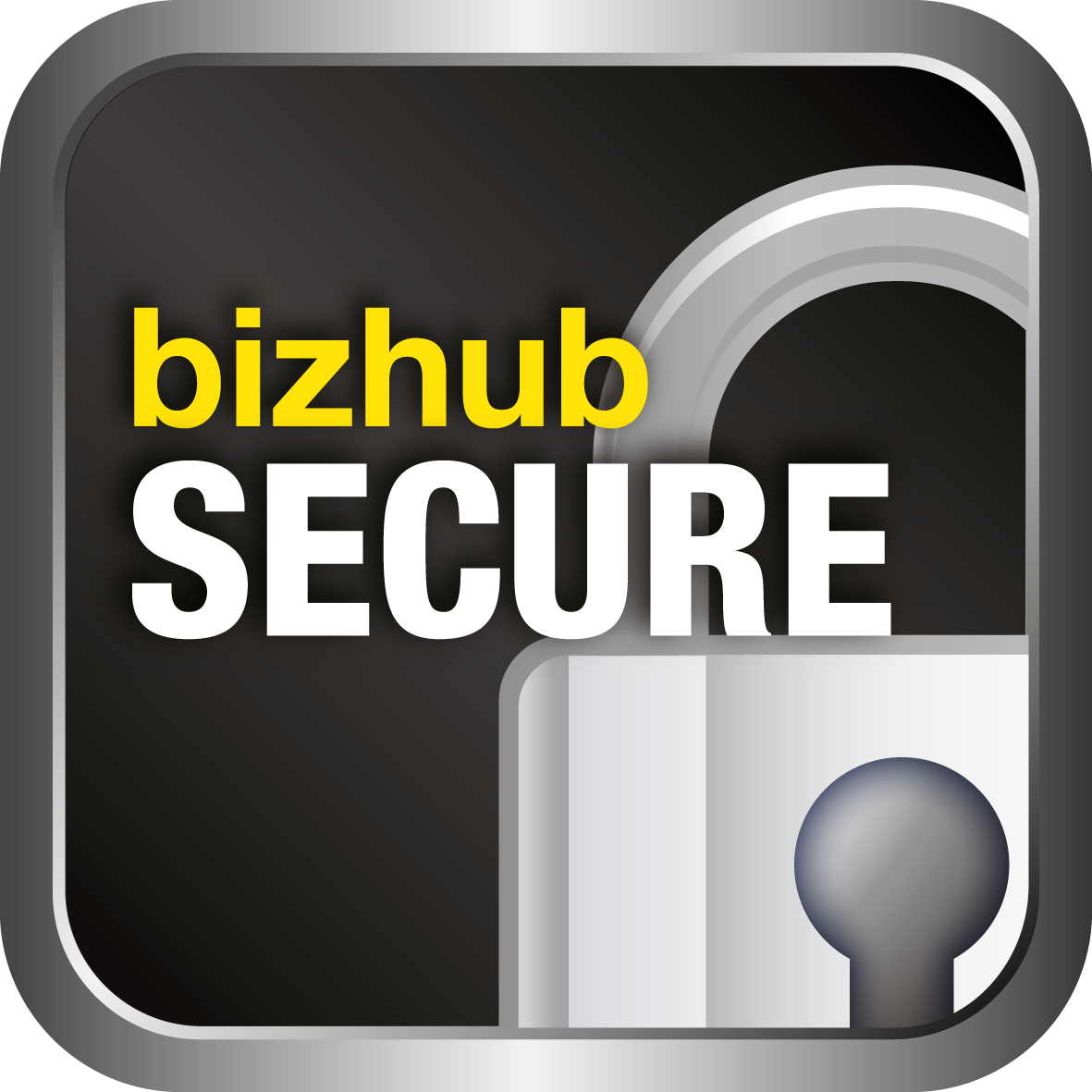 bizhub SECURE